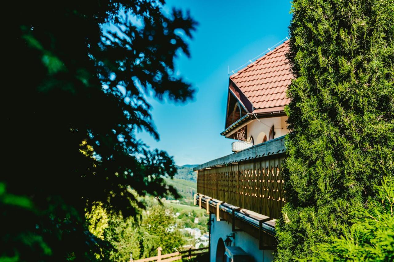 Karolowy Dwor Wisła Buitenkant foto